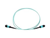 Axiom - Network cable