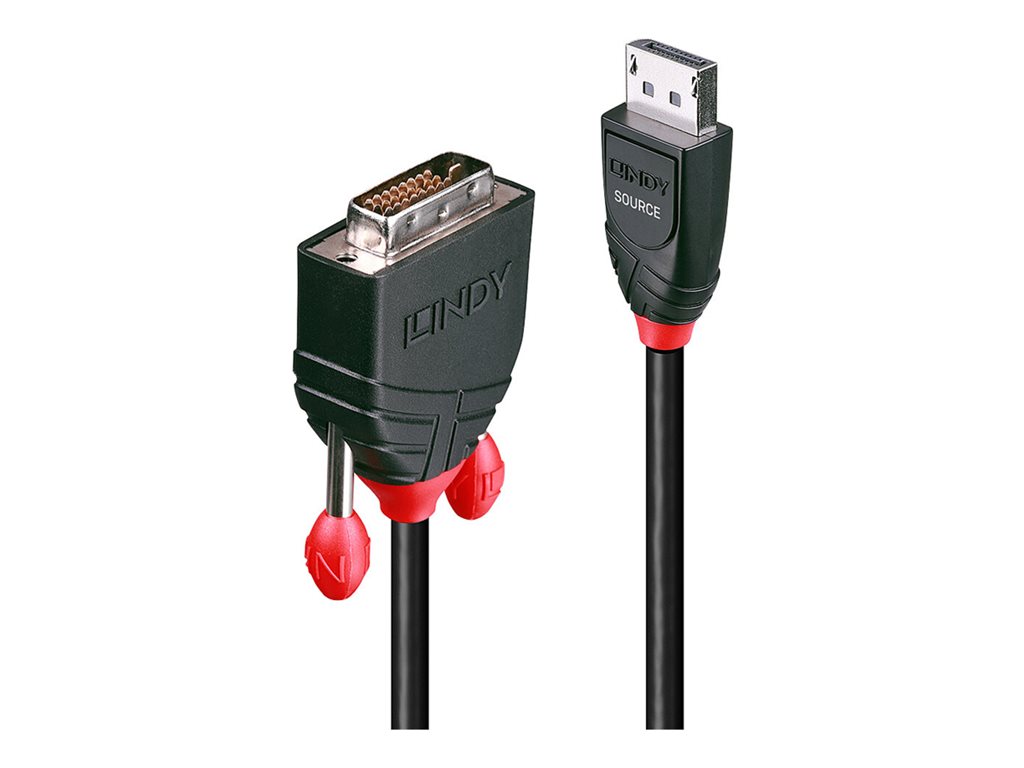 LINDY Câble DisplayPort vers DVI 1m