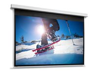 Da-Lite DescenderPro projection screen surface with motor and roller - 125" (348 cm)