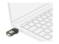 DeLock Netværksadapter USB 2.0 3Mbps Trådløs