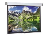 Projecta Hapro CSR Wide Format - projection screen - 97" (248 cm)