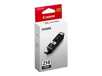 CANON PGI-250 PIGMENT BLK 6497B001