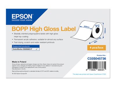 BOPP - continuous labels - high-glossy - 4 roll(s)
