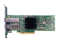 FUJITSU PLAN EP P210P Netværksadapter PCI Express 3.0 10Gbps