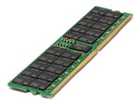 HPE SmartMemory - DDR5 - module - 256 GB - DIMM 288-pin - 5600 MHz / PC5-44800 - 3DS registered