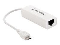 Gembird Netværksadapter USB 2.0 100Mbps Kabling