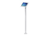 ArmorActive Pipeline Kiosk 42INCH with Elite Enclosure Mounting kit (enclosure, pole stand) 