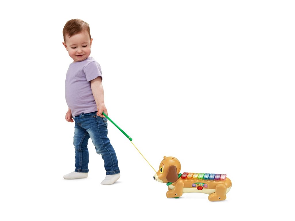 VTech Zoo Jamz Doggy Xylophone