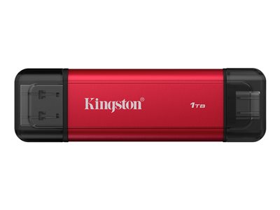 Kingston Dual - SSD - 1 TB