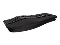 Incase Ergonomic Keyboard Designed by Microsoft keyboard USB QWERTY English black