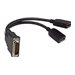 PNY DMS-59 to Dual DisplayPort Adapter Cable