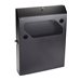 Black Box Low-Profile Vertical Wallmount Cabinet 24D Equipment