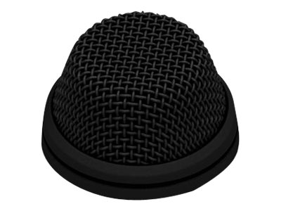 Installed boundary layer microphone