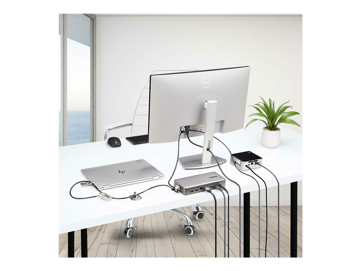 StarTech.com Laptop/Desktop & Peripheral Lock Kit, 9.8ft (3m) Cable - sada zámků pro pracovní stanici - proti krádeži - kompatibilní s TAA – foto 8