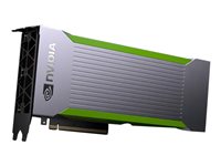 NVIDIA Quadro RTX 8000 Passive - graphics card - Quadro RTX