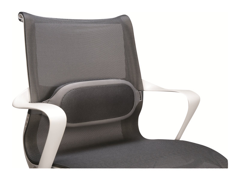 FELLOWES i-spire coussin lombaire