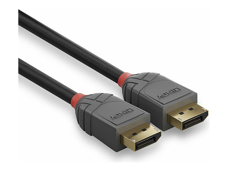 C ble DisplayPort 1.1 Anthra Line, 15m