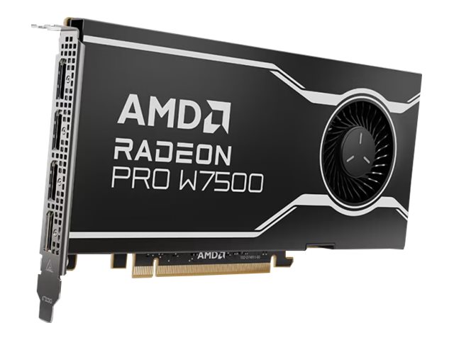 Image of AMD Radeon Pro W7500 - graphics card - Radeon Pro W7500 - 8 GB