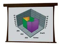 Draper Premier - Projection screen
