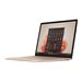 Microsoft Surface Laptop 5 for Business