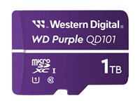 WD Purple WDD100T1P0C-85AEL0