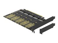 DeLOCK PCI Express x16 Card to 5 x internal M.2 Key B / SATA Lagringskontrol
