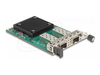 DeLock Netværksadapter 10 Gigabit Ethernet