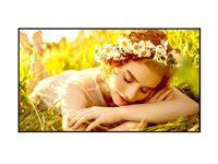 LG 55UL5Q-E 55' Digital skiltning 3840 x 2160