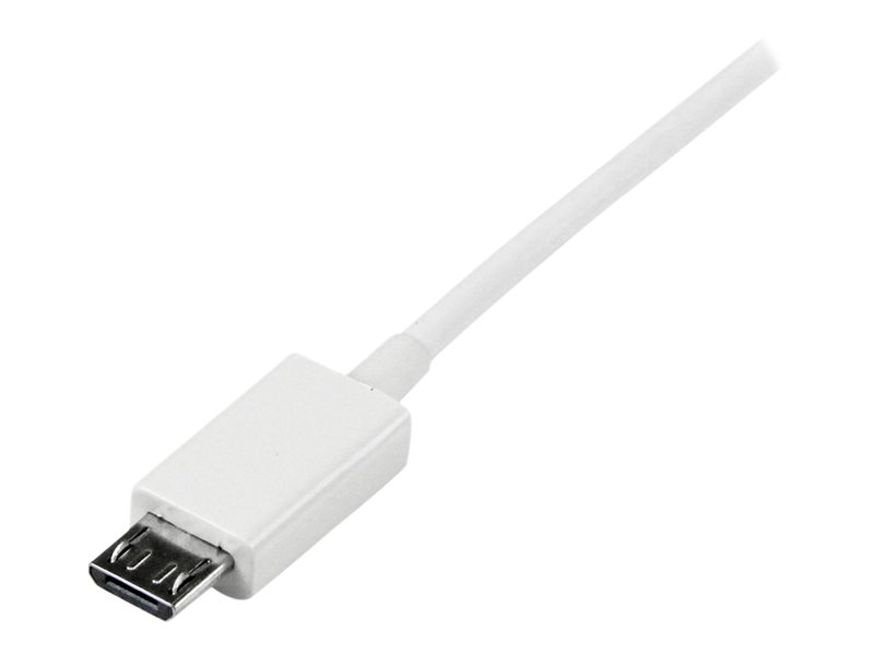 StarTech.com Câble USB-C vers Lightning de 50cm - Adaptateur USB C vers  Lightning Noir Certifié Mfi, Gaine en TPE - Câble USB Type-C/Lightning -  Chargeur USB-C vers Iphone (RUSB2CLT50CMBC) - Câble Lightning 