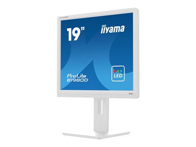 IIYAMA B1980D-W5, Monitore TFT Consumer- & Gaming IIYAMA  (BILD6)