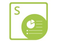 for .NET - Single Developer Small Business 1 Year Standard Support Renewal – Aspose