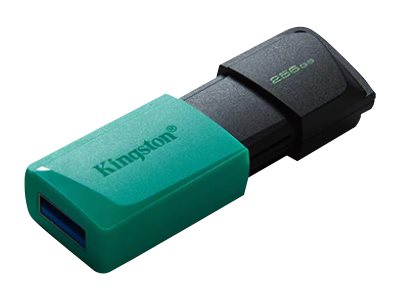 USB-Stick 256GB Kingston DataTraveler DTXM USB 3.2 retail - DTXM/256GB