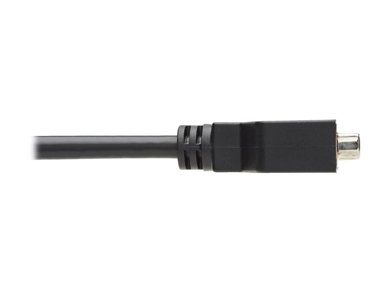 EATON TRIPPLITE DisplayPort to DVI-I