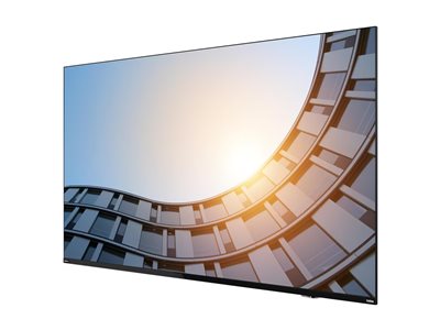 LENOVO ThinkVision E65 LFD 64.5p UHD