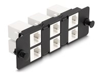 DeLOCK Patchpanel adapter