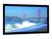 Da-Lite Cinema Contour Wide Format Projection screen wall mountable 164INCH (164.2 in) 1.6:1 