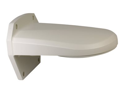 Wall Mount Adaptor for CPTZ29D5W