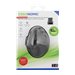 TNB ERGO Line Mini Wireless Mouse