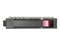 HPE Mainstream Endurance Enterprise Mainstream - SSD - 100 GB - SATA 6Gb/s