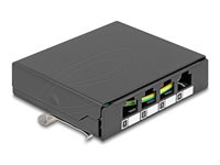 Delock Patchpanel (blank) Sort