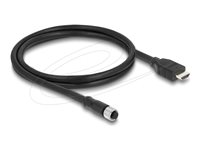 Delock Videoadapterkabel 1m Sort