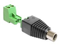 DeLOCK 2 pins terminalblok (female) - DC-strømstik 2,1 mm (female) Strømforsyningsadapter