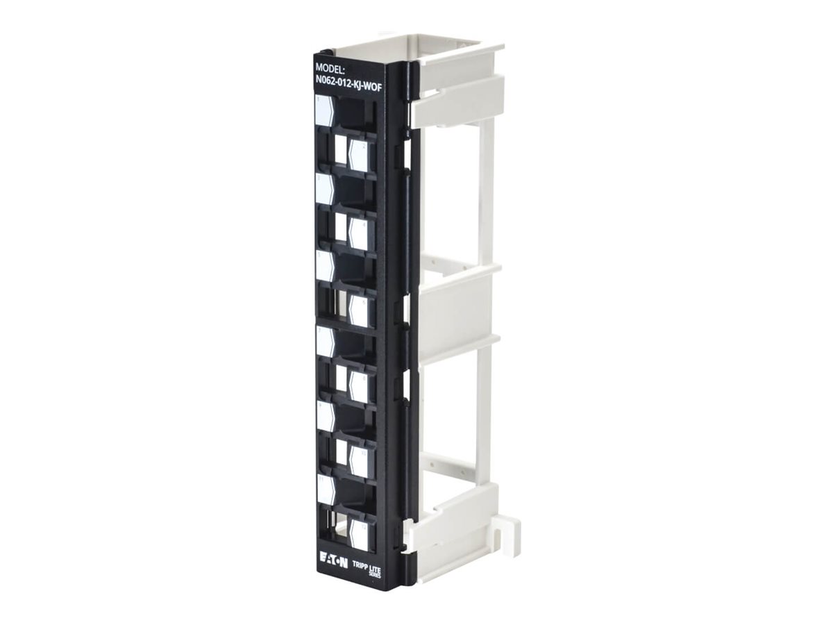 Eaton Tripp Lite Series 12-Port Wall-Mount Patch Panel for UTP Keystone Jacks, Offset Ports, TAA