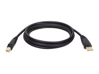 Eaton Tripp Lite Series USB 2.0 A to B Cable (M/M), 10 ft. (3.05 m)