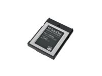 SANDISK Prof. PRO-CINEMA 256Go CFexpres