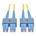 Eaton Tripp Lite Series Duplex Singlemode 9/125 Fiber Patch Cable (SC/SC), 6M (20 ft.)