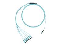 Panduit network cable - 10 m - aqua