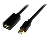 StarTech.com 6 ft Mini DisplayPort 1.2 Video Extension Cable M/F - Mini DisplayPort 4k with HBR2 support - Mini DP Extension 