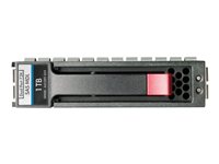 HPE Dual Port Harddisk Midline 1TB 3.5' SAS 7200rpm