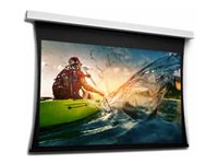 Projecta Tensioned DescenderPro HD projection screen - 153" (389 cm)